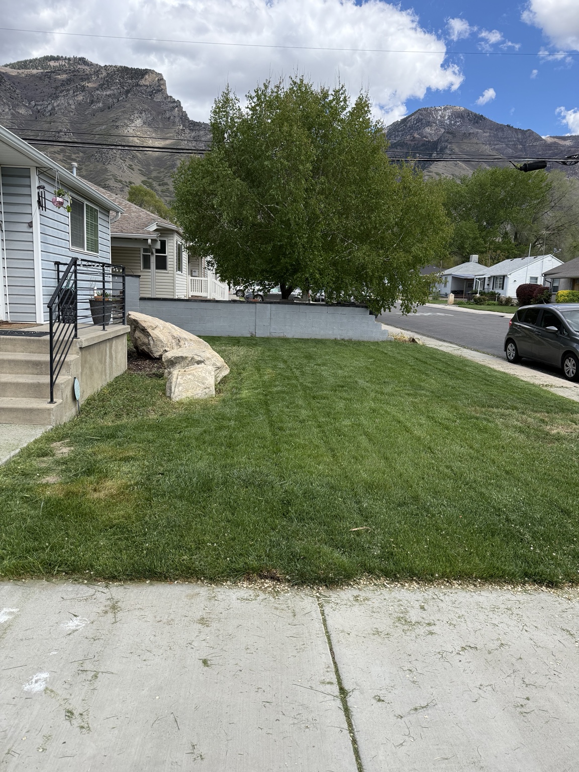 Before — Tired front lawn · uneven finish